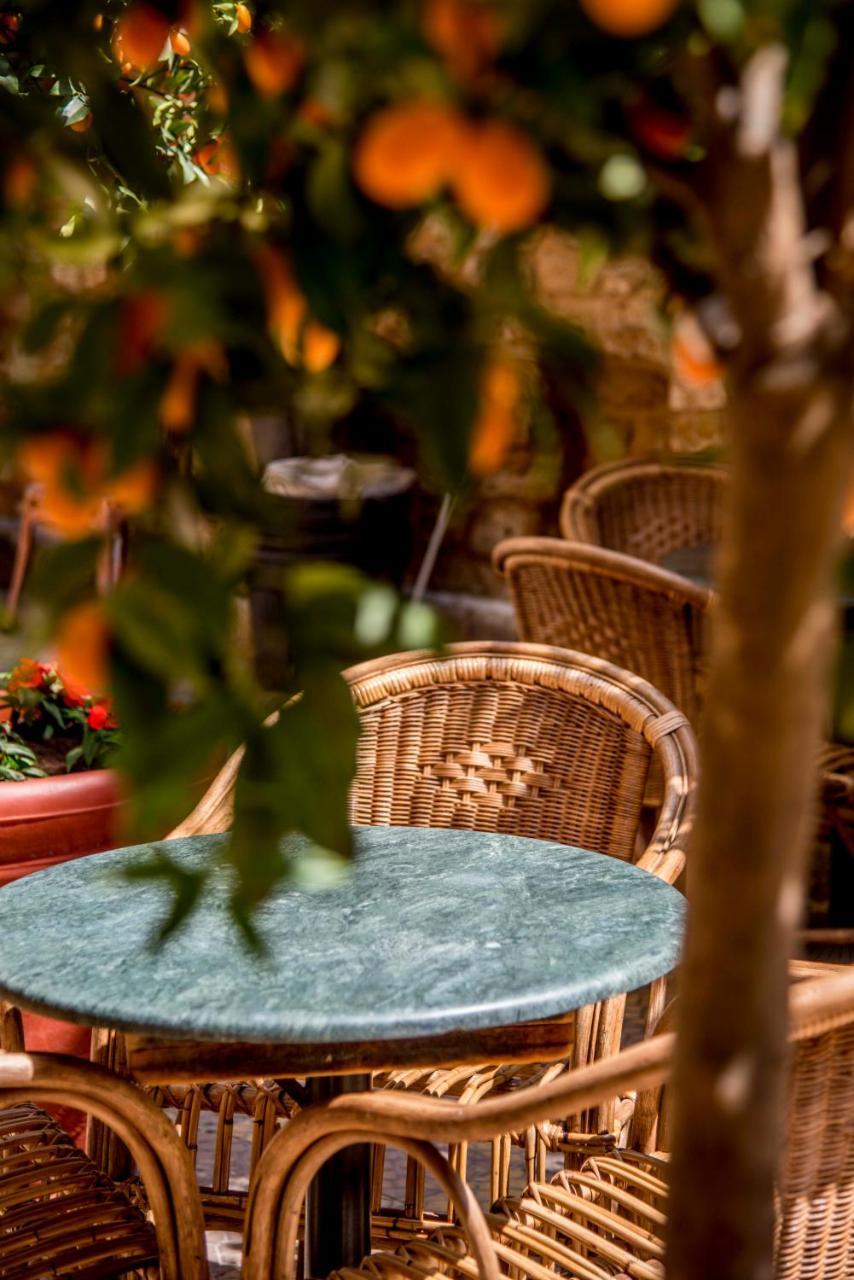 Bed and Breakfast Dar Camelia Tyr Zewnętrze zdjęcie