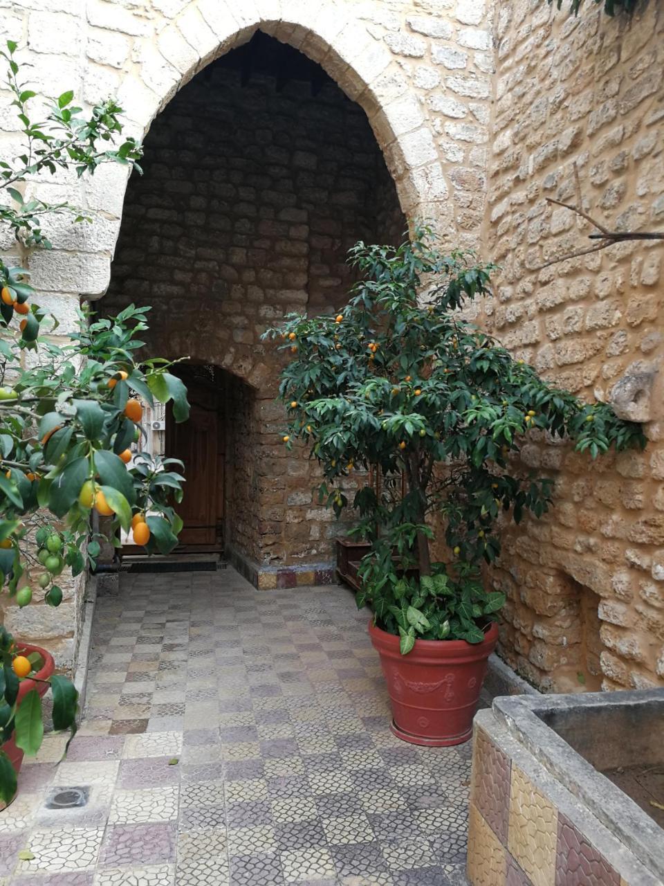 Bed and Breakfast Dar Camelia Tyr Zewnętrze zdjęcie