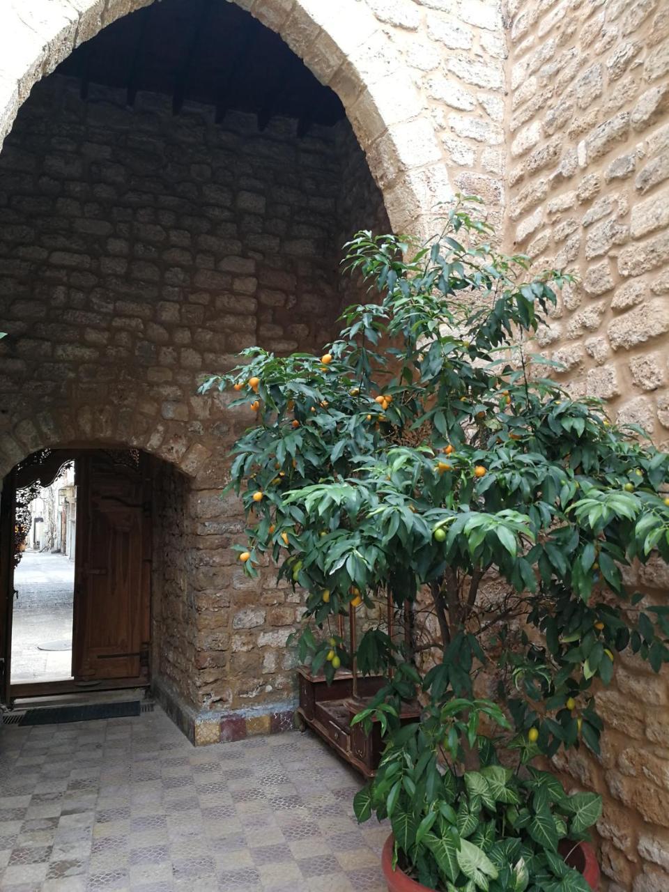 Bed and Breakfast Dar Camelia Tyr Zewnętrze zdjęcie